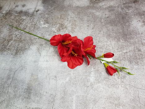 Dekoračná halúzka Gladiola red