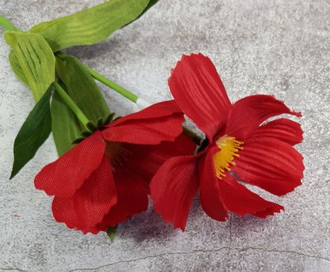 Mini halúzka Cosmos red